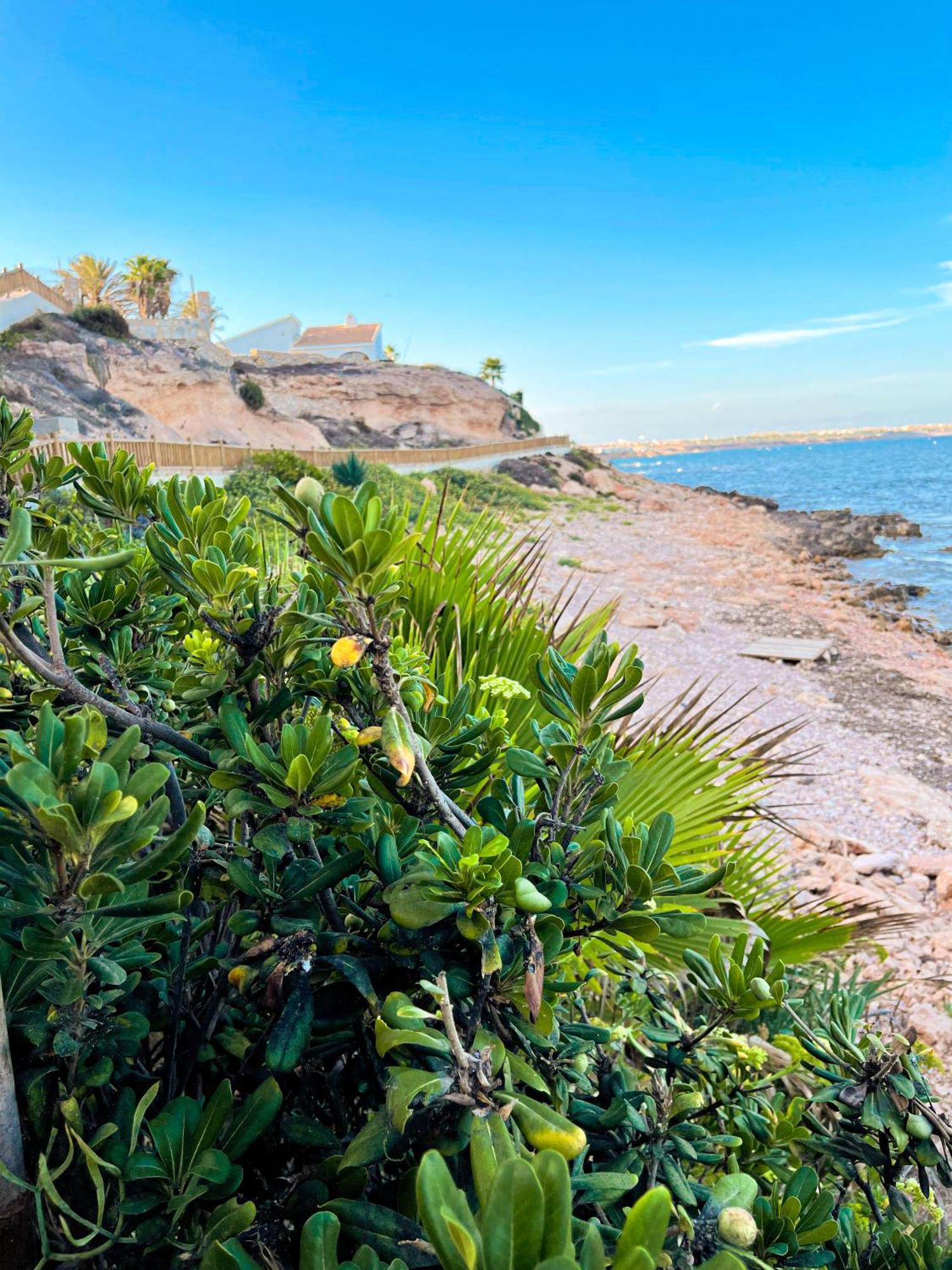 Hola Blanca - Sea, Golf, Chill Apartman Dehesa de Campoamor  Kültér fotó