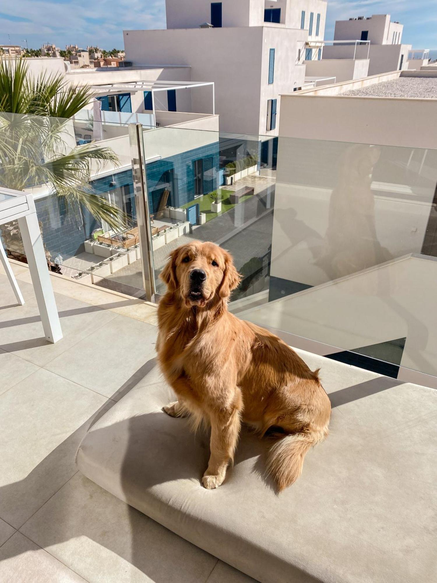 Hola Blanca - Sea, Golf, Chill Apartman Dehesa de Campoamor  Kültér fotó