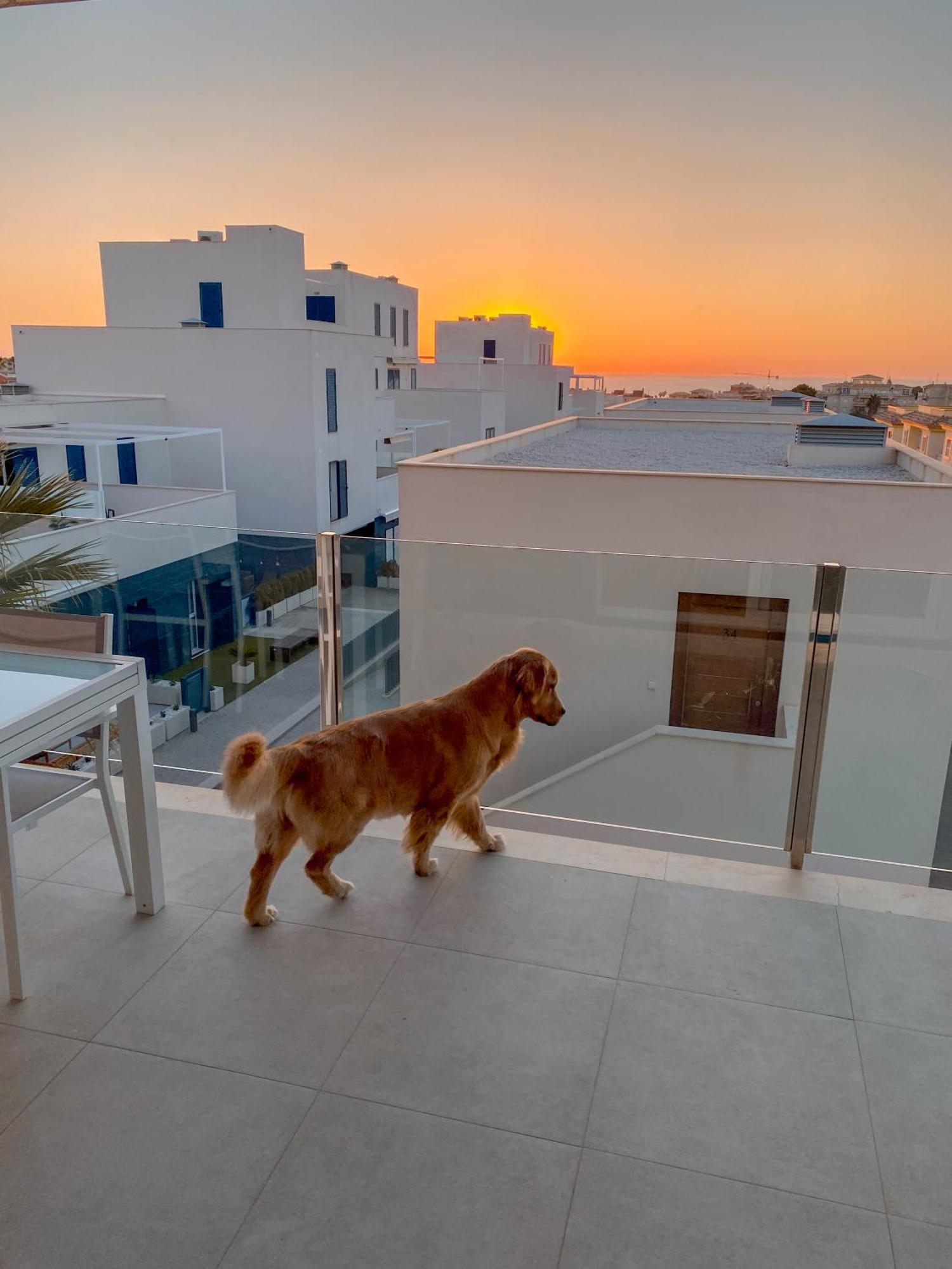 Hola Blanca - Sea, Golf, Chill Apartman Dehesa de Campoamor  Kültér fotó